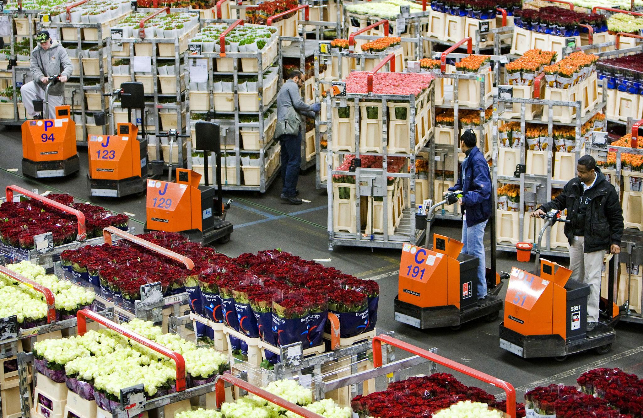 A Smarter Alternative to the Aalsmeer (the Netherlands) Flower Supply Chain