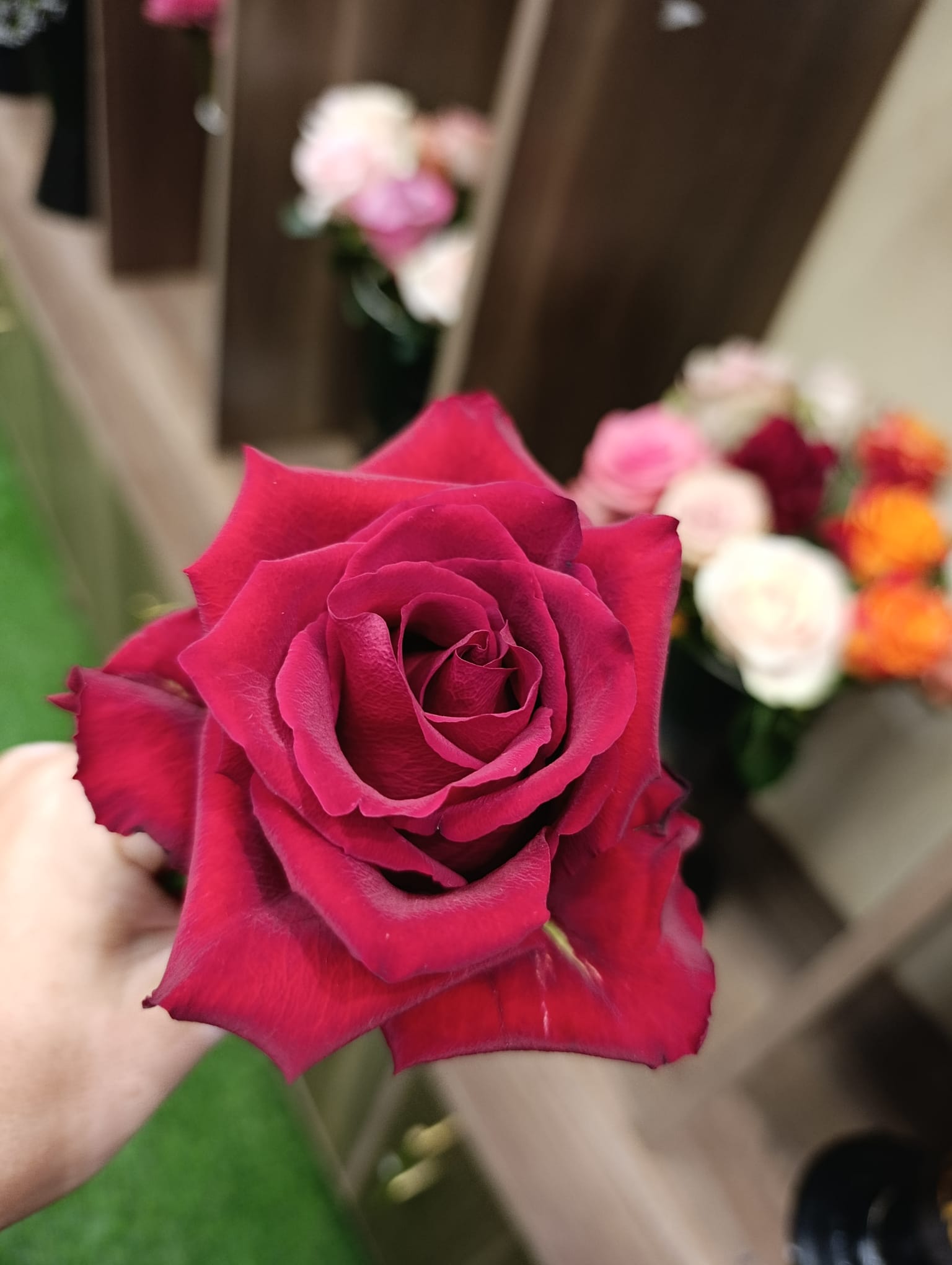 Wholesale Rose Supplier from Ethiopia: Direct Sourcing for Competitive Flower Supply