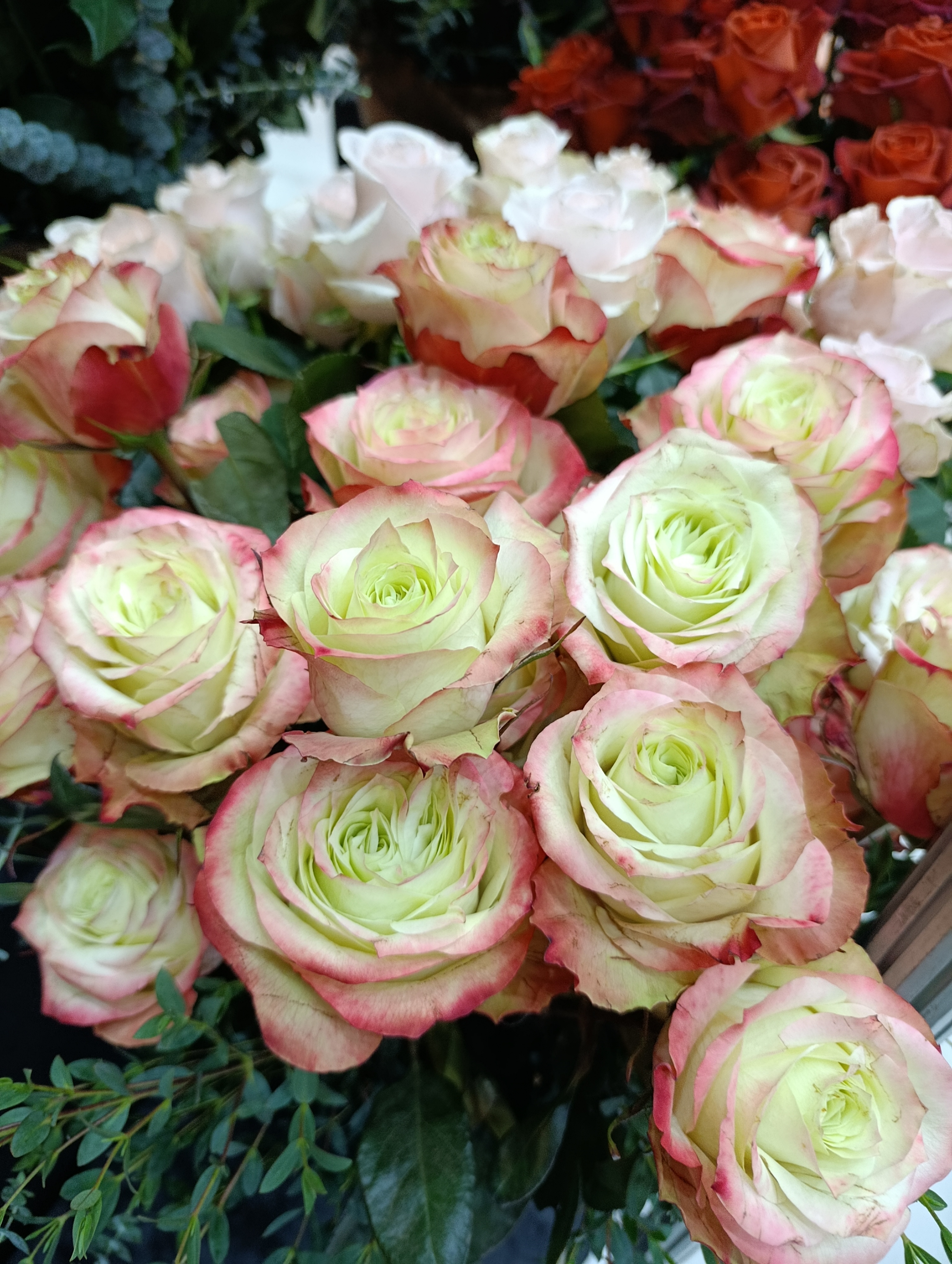Wholesale Roses Supplier in Ethiopia: How We Select Farms & Supply International Buyers