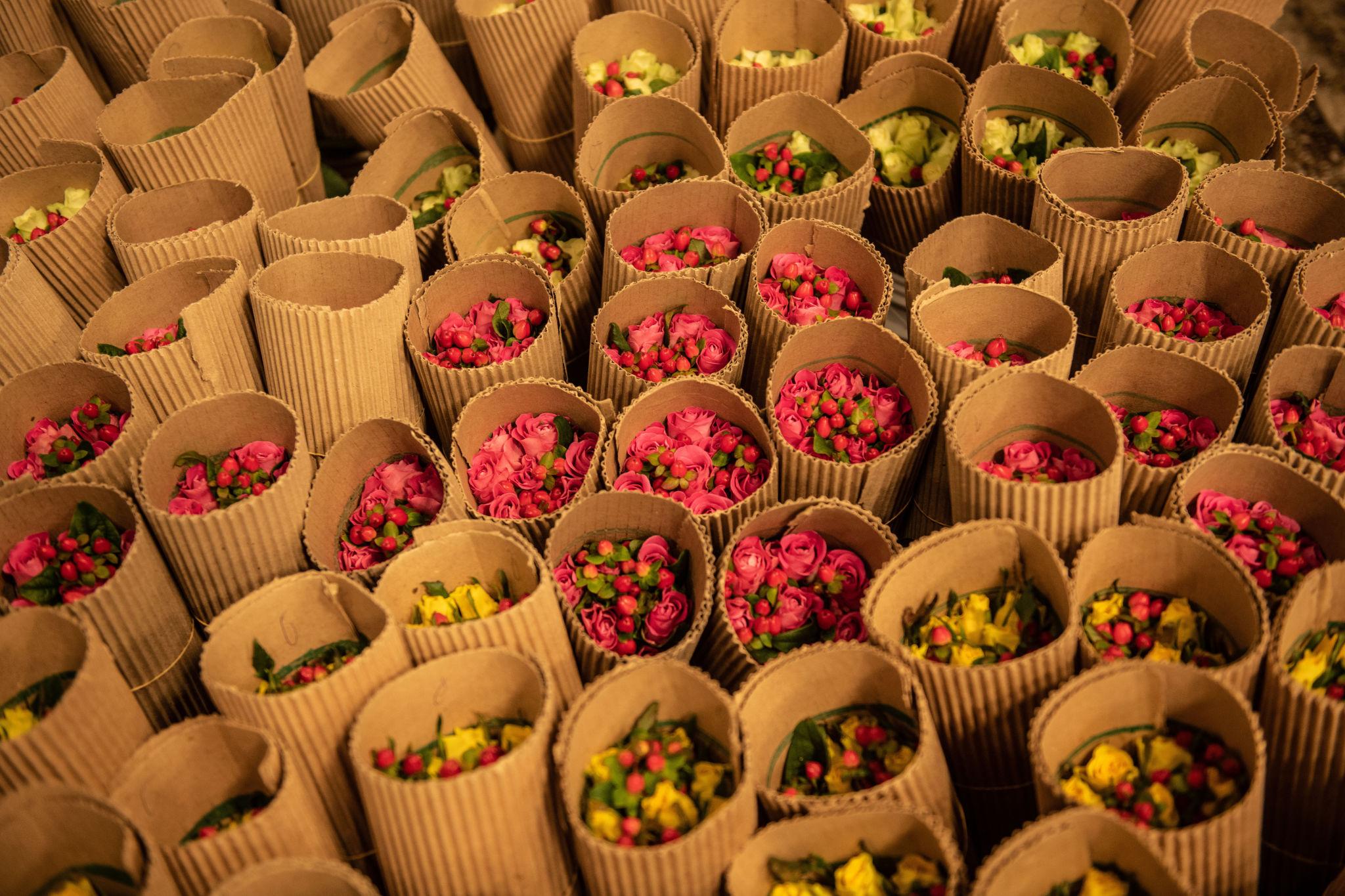 Import Flowers from Kenya to Belgium