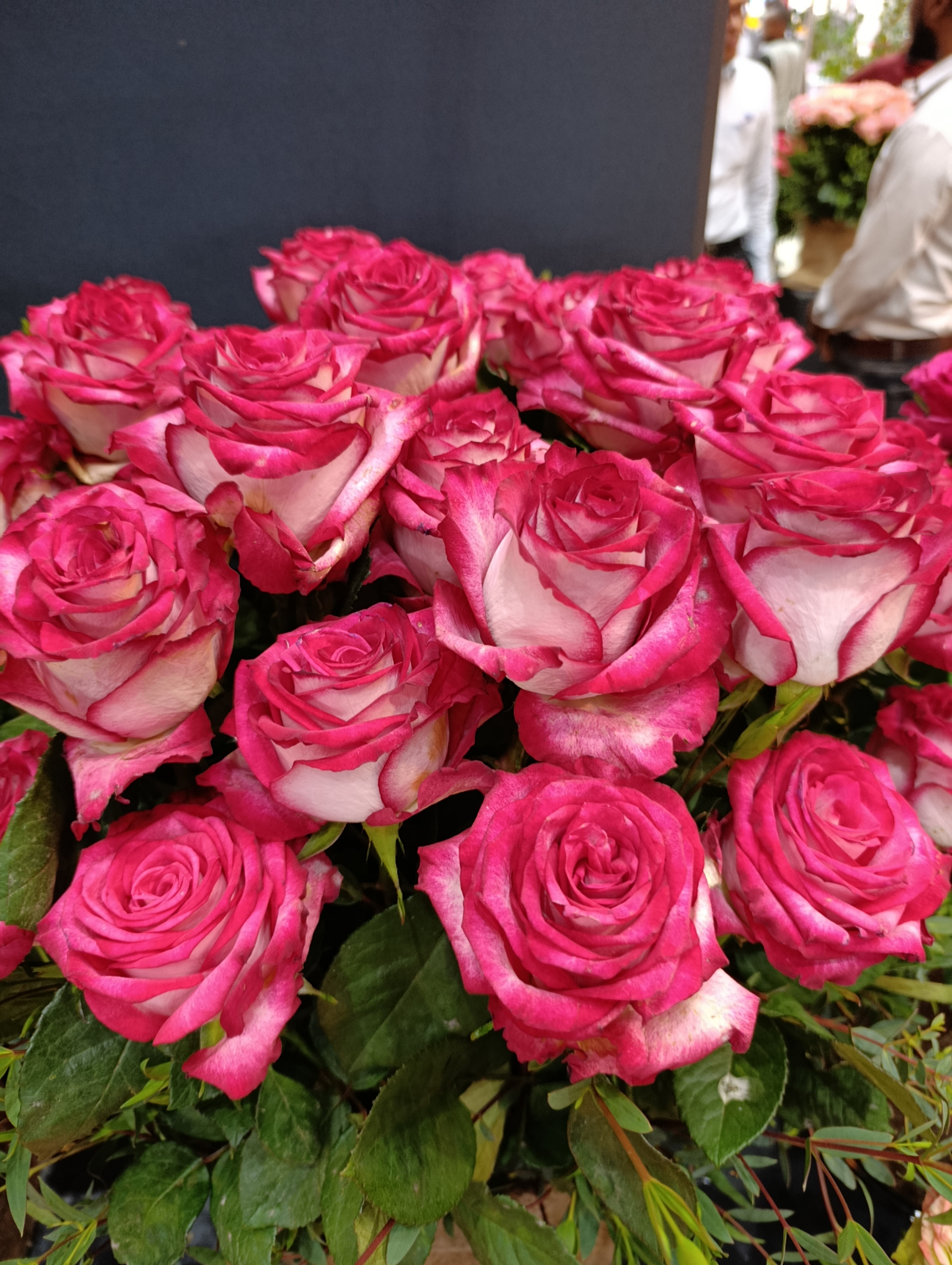 Roses Exporter Kenya & Ethiopia | Flexible Wholesale Flower Supply