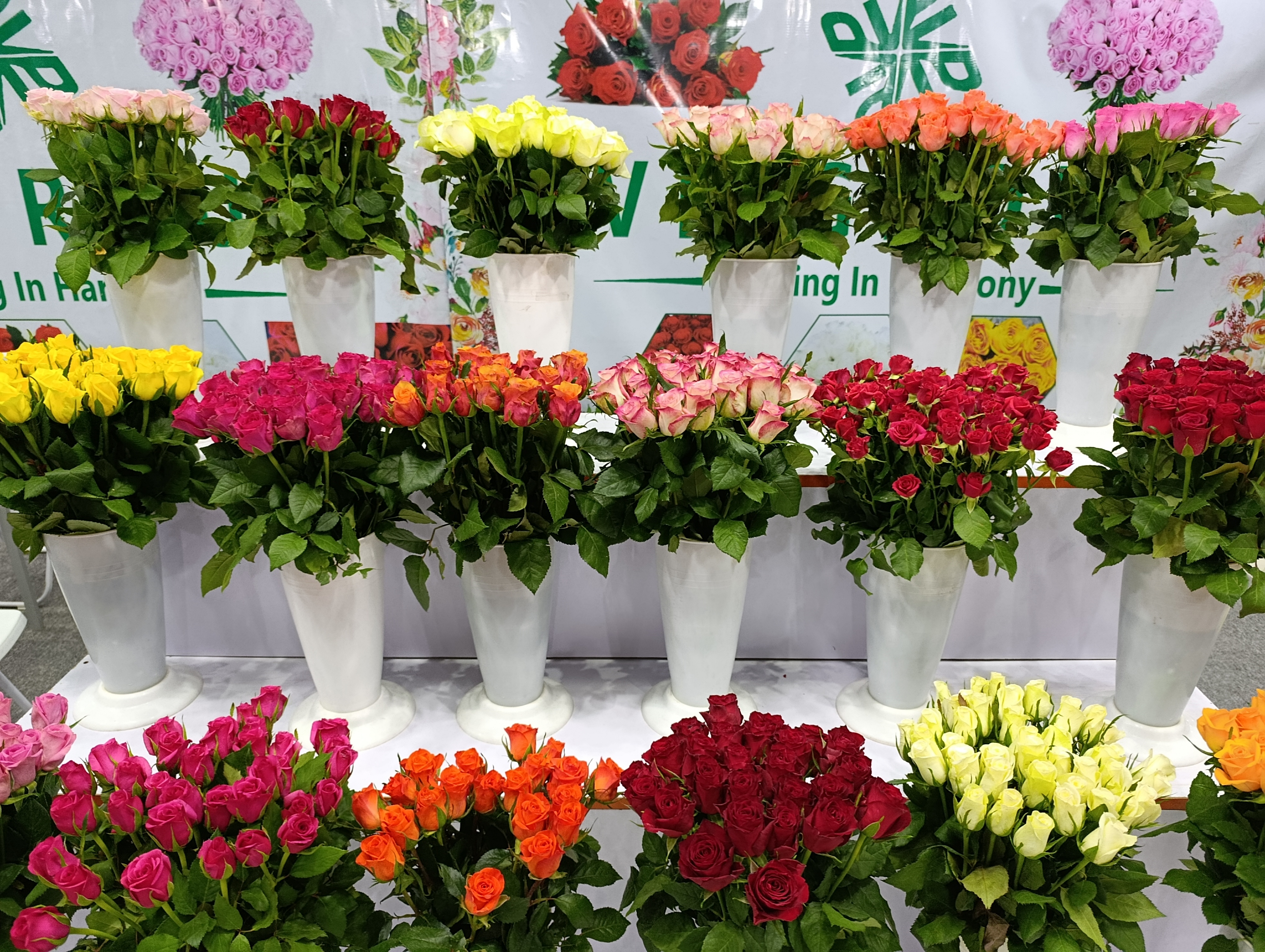 What Can Go Wrong When Importing Flowers—and How to Avoid It