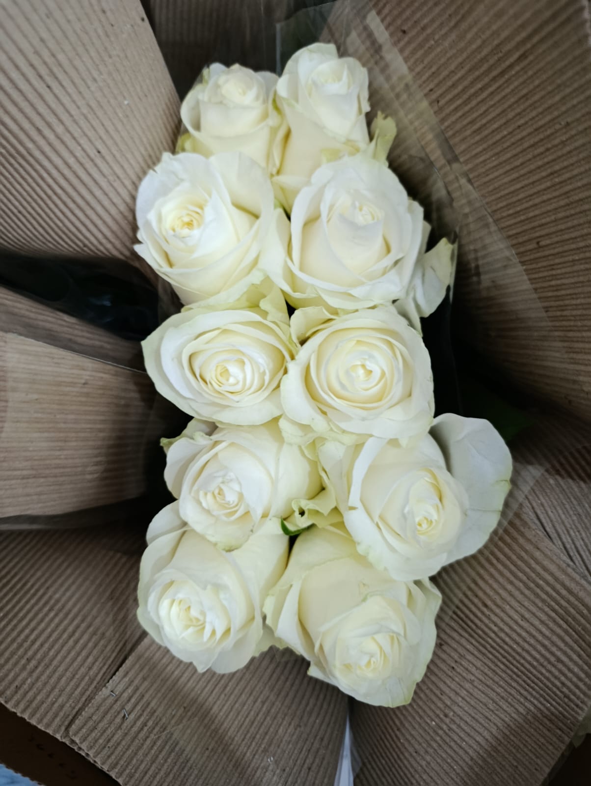 Importing Flowers into Mozambique: Opportunities, Challenges, and Reliable Supply Solutions