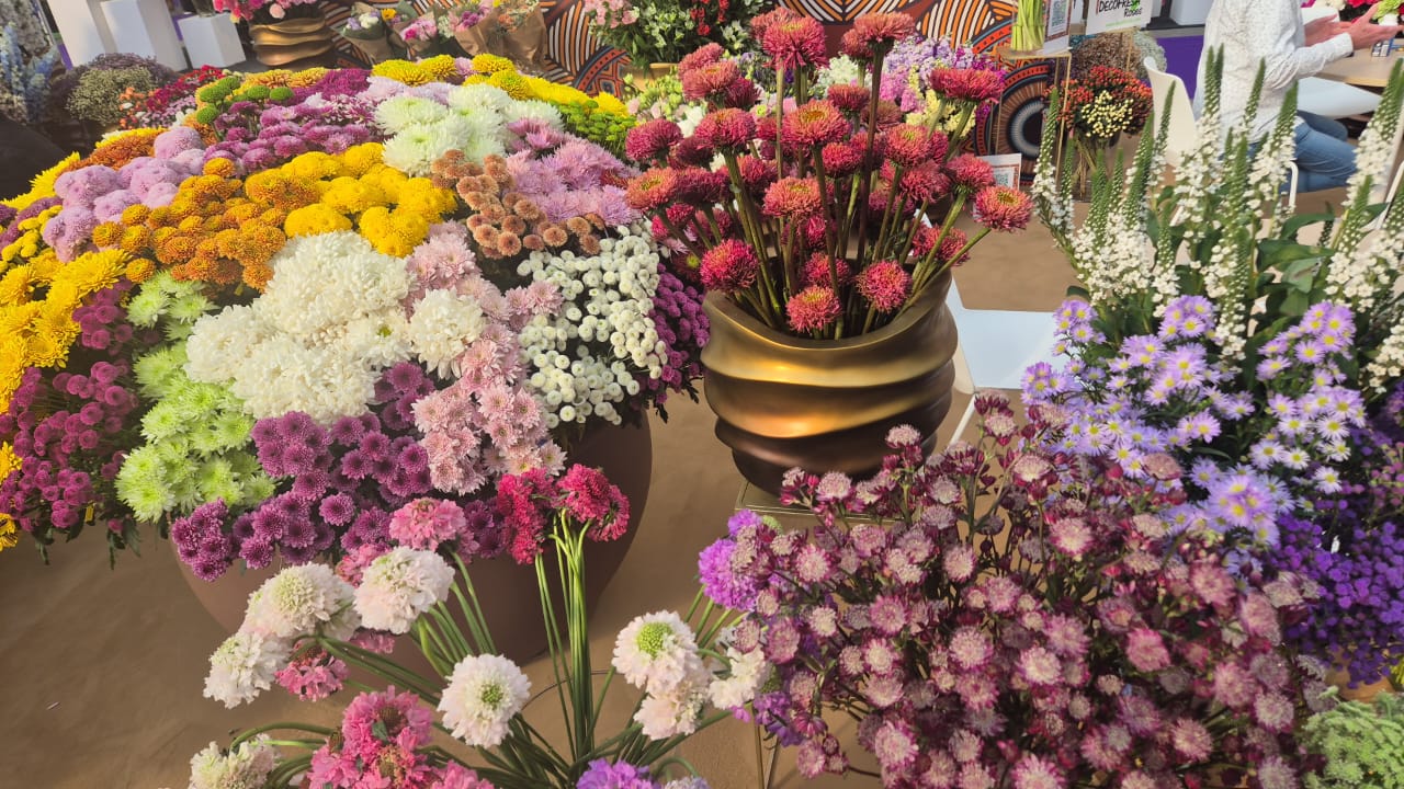 Importing Flowers into Zambia: A Practical Guide for Florists, Event Planners & Buyers