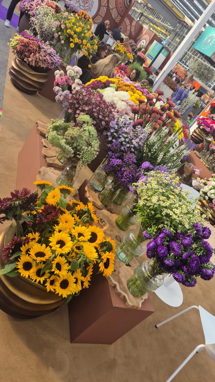 How to Choose a Reliable Flower Supplier in Africa (Without Getting Burned)