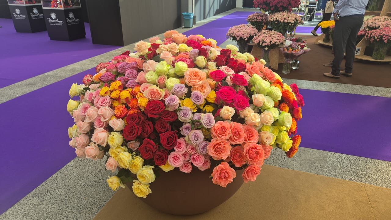 What Event Planners Should Know Before Importing Flowers from Kenya or Ethiopia
