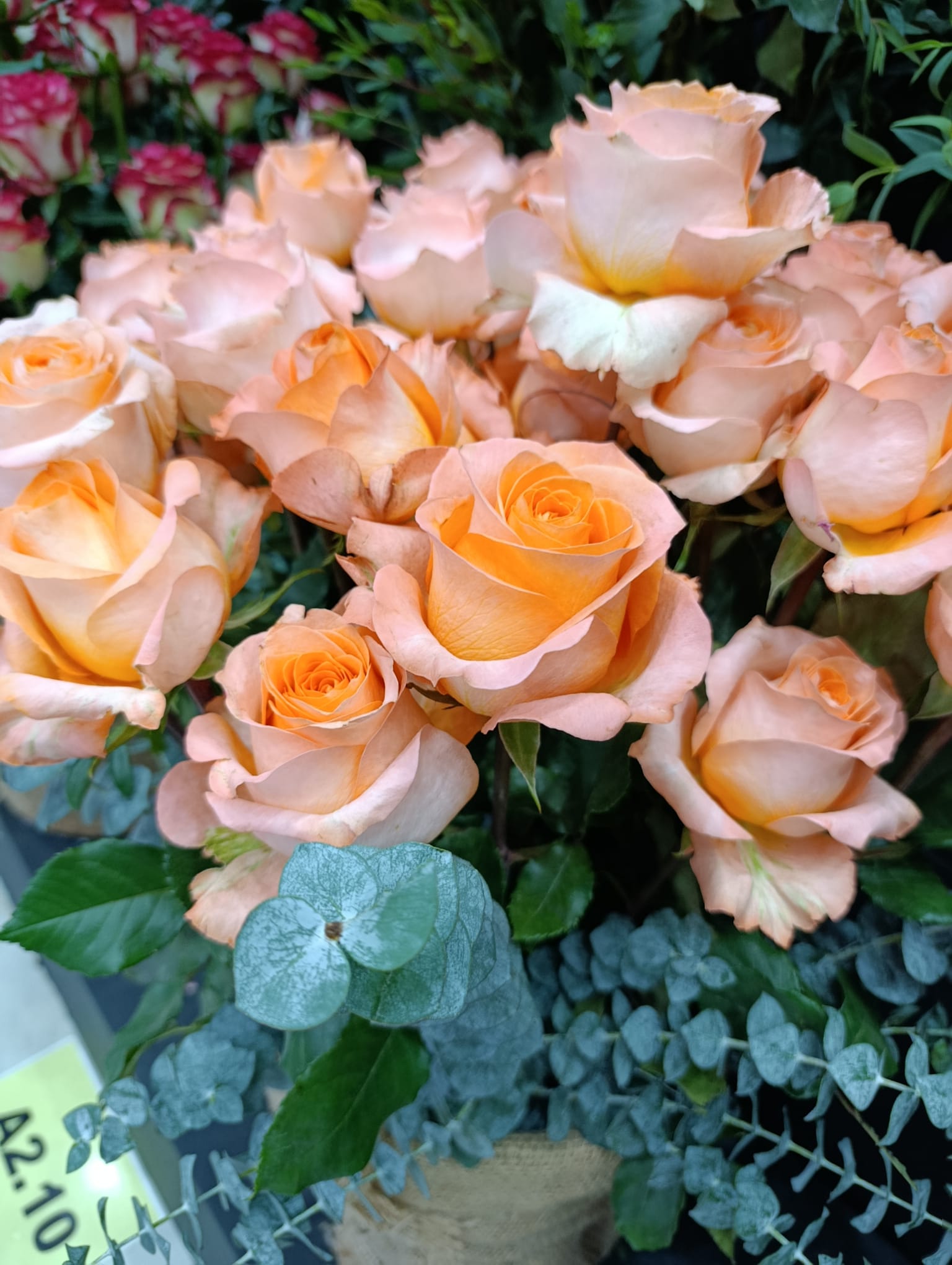 How to Import Flowers from Kenya & Ethiopia (Step-by-Step Guide)