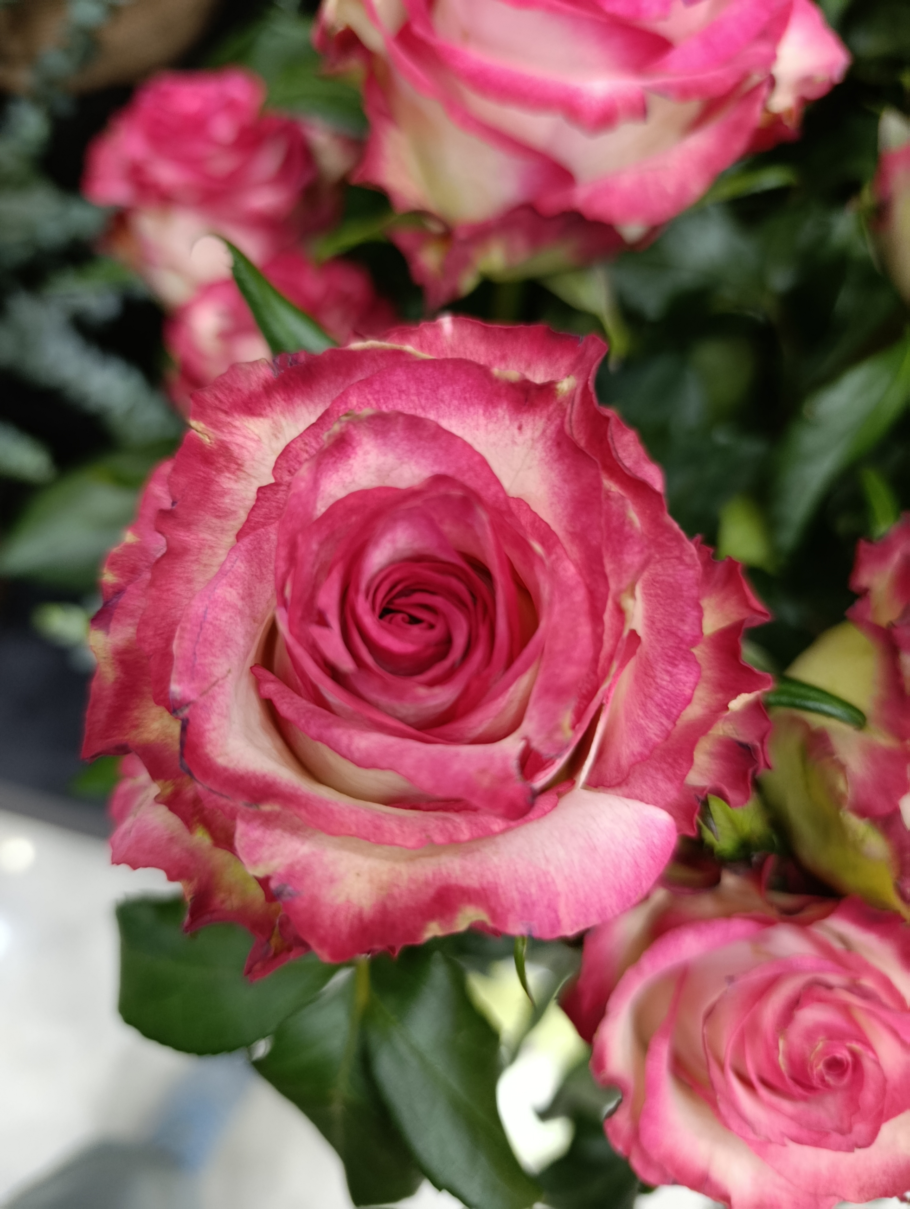 Wholesale Flower Supply for the Middle East & North Africa (MENA Market)