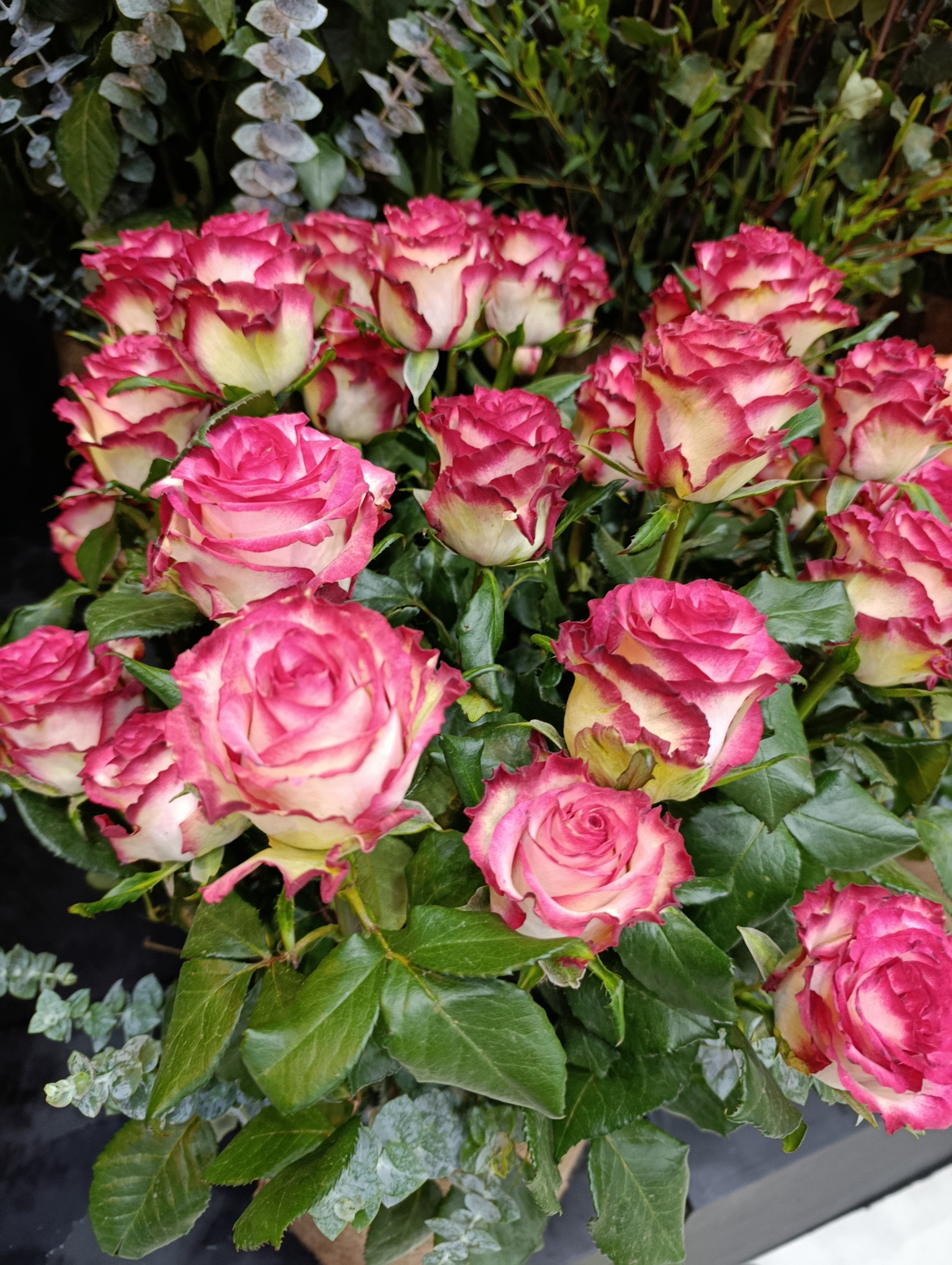 What Determines Rose Quality? (And Why Origin Matters)
