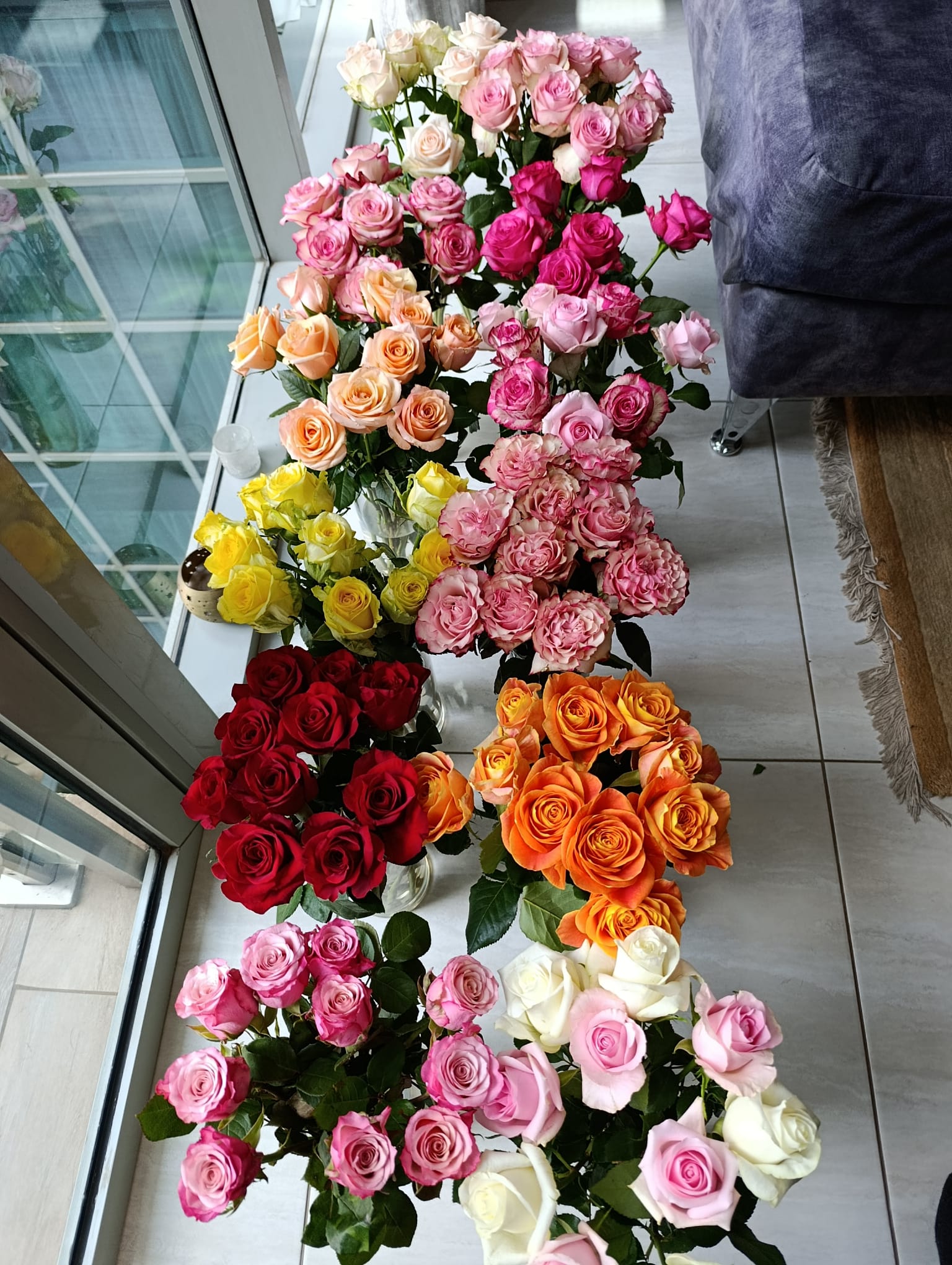 How Long Do Imported Flowers Last? (From Farm to Final Sale)