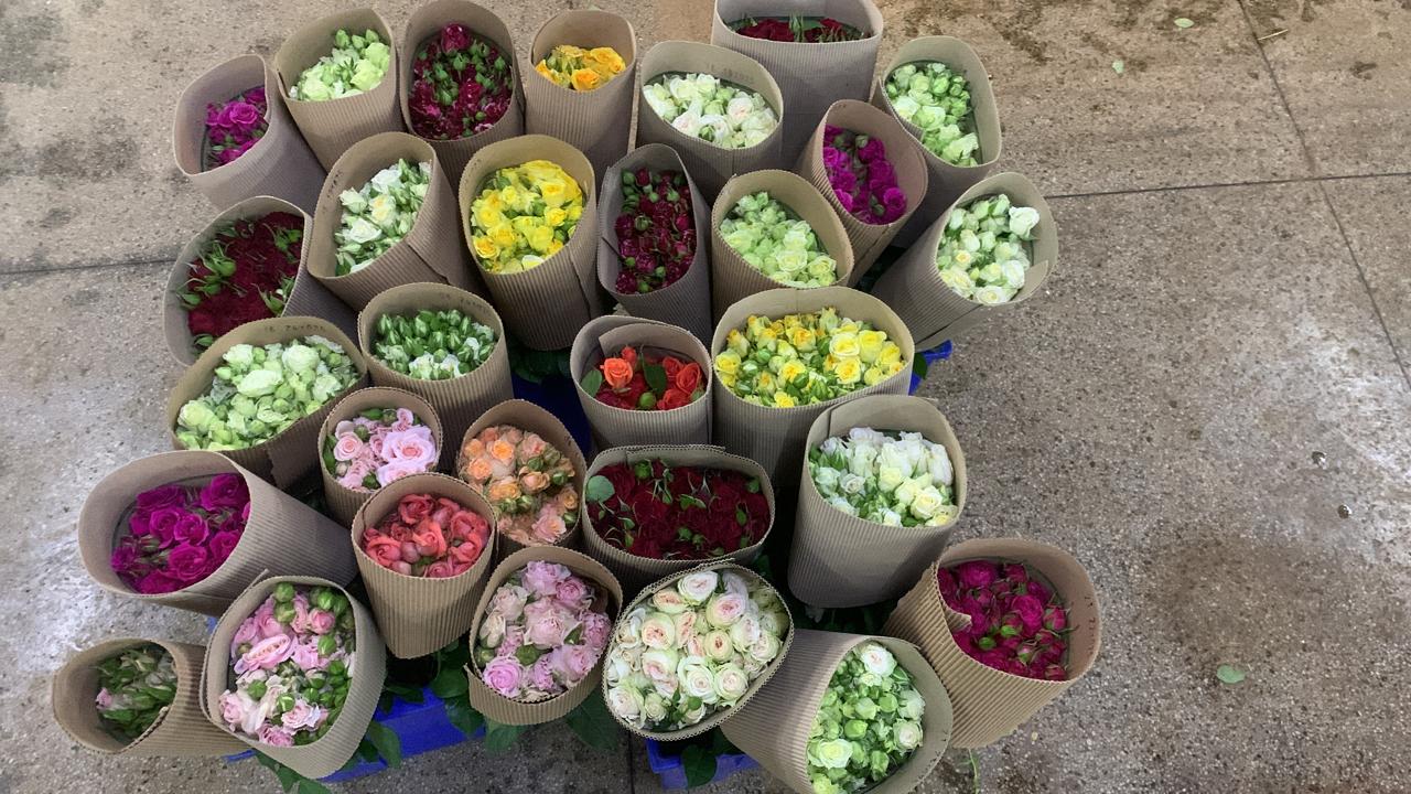 Comment importer des fleurs du Kenya et d’Éthiopie en France (guide complet)