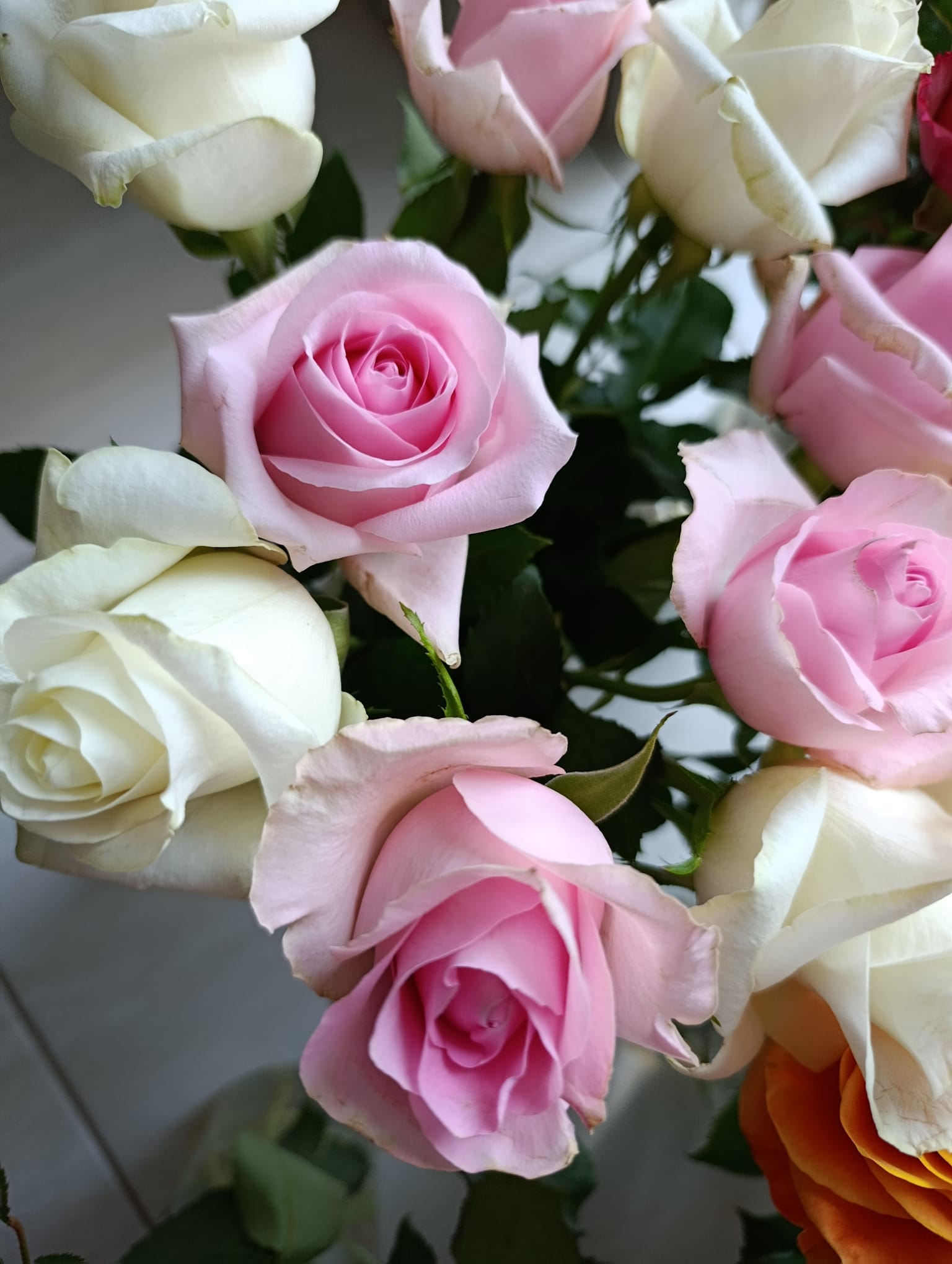 Lisa’s Flowers Export – Your Trusted Flower Exporter in Kenya & Ethiopia