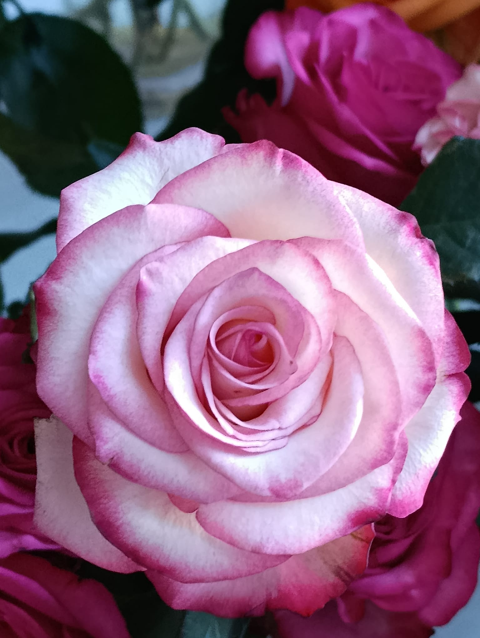 Kenyan vs Ethiopian Flowers – Choosing the Right Source for Your Business