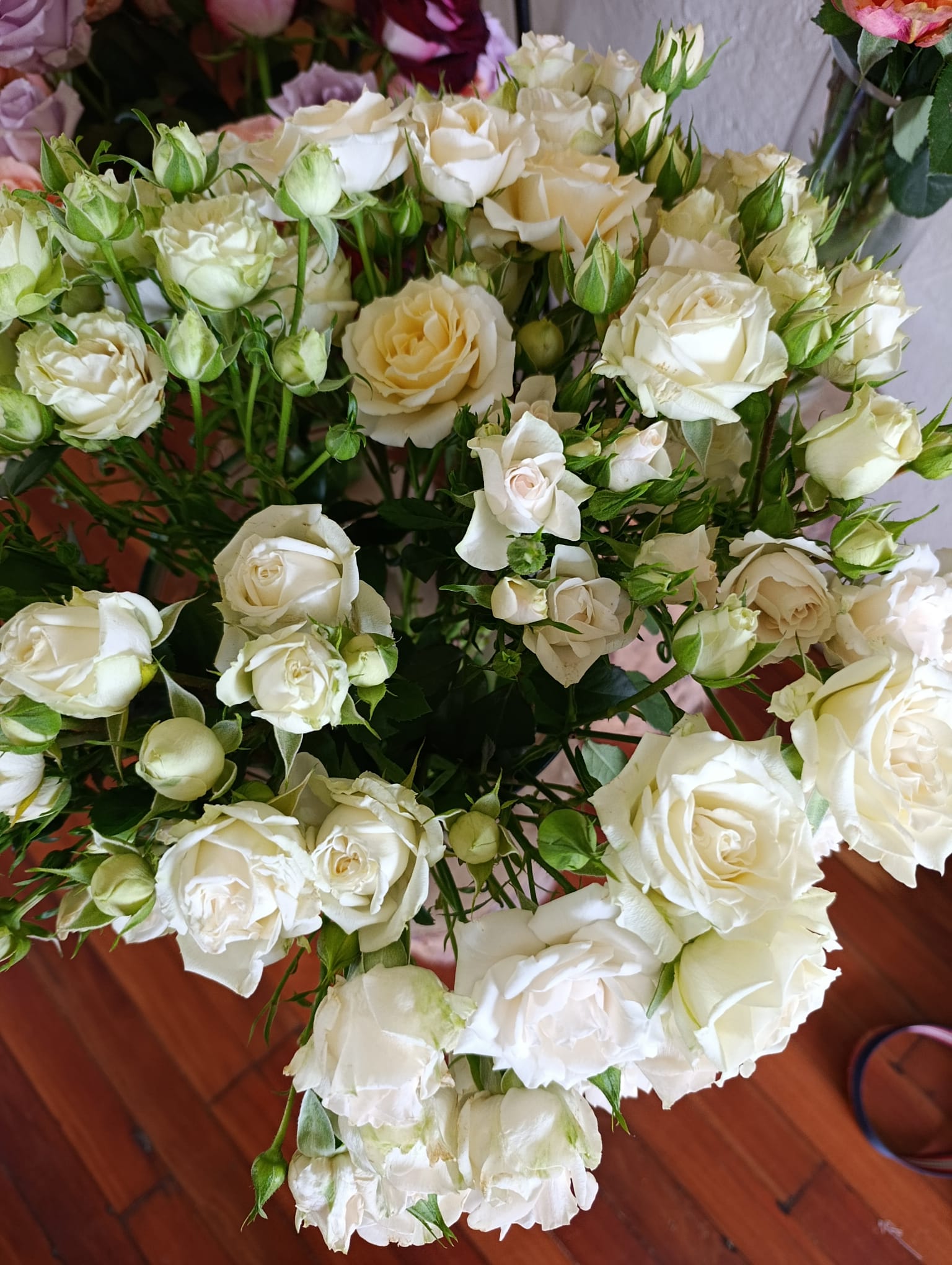 Como Importar Flores do Quénia para Angola