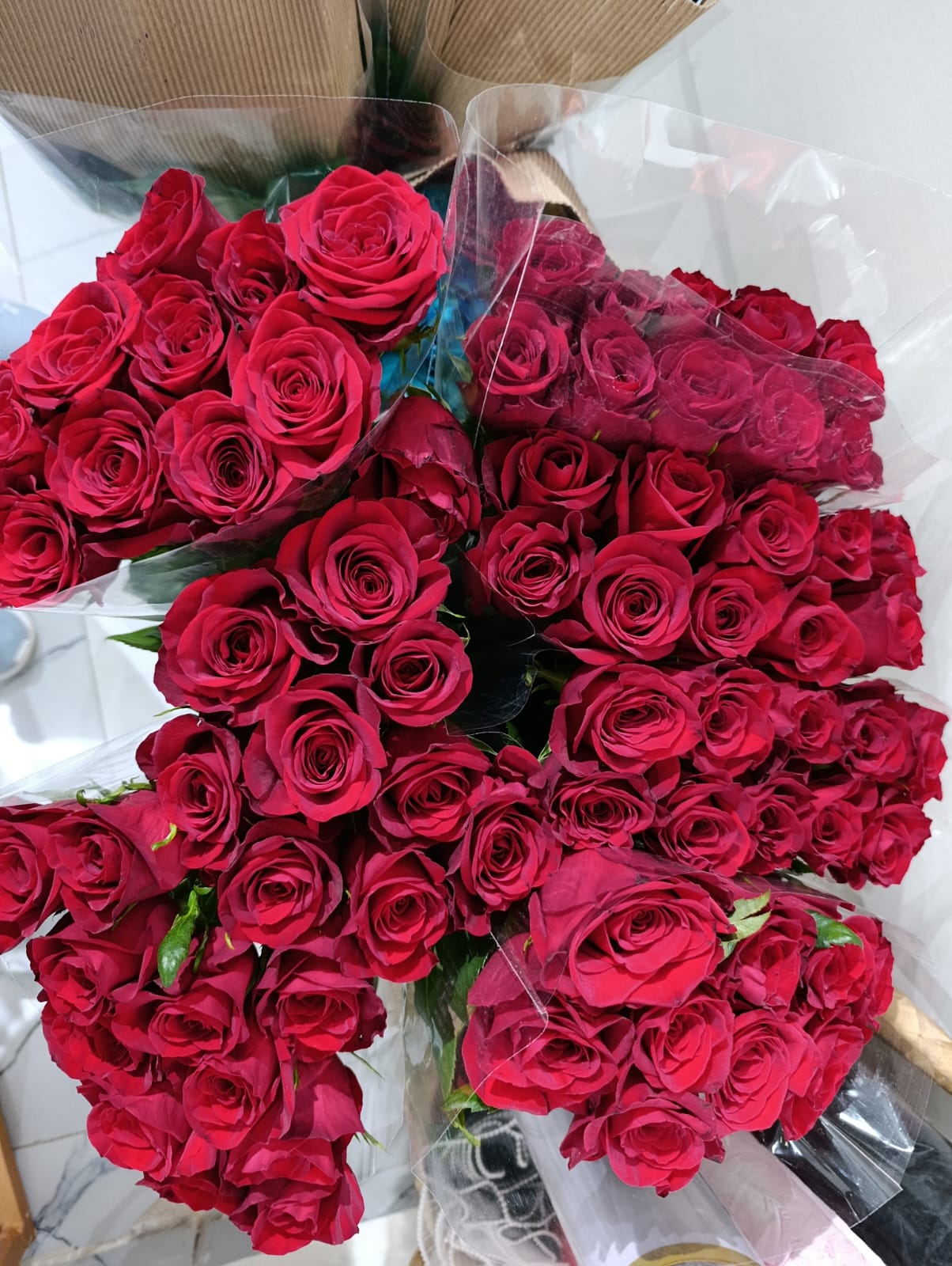 Wholesale Roses Supplier Ethiopia – Premium Fresh Roses for International Buyers