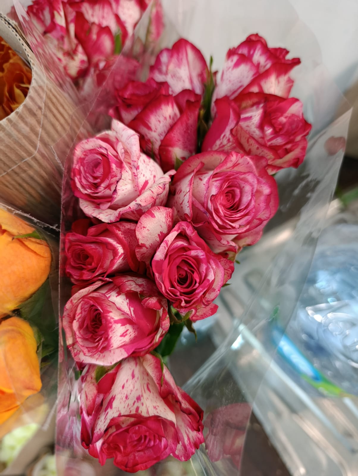 Kenya vs Ethiopia Roses: What’s the Difference?