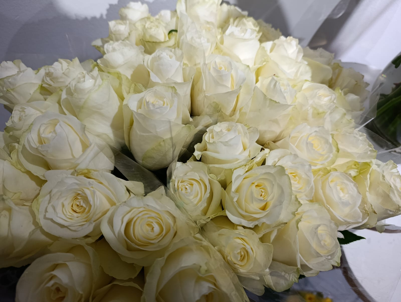 Biggest Problems Flower Importers Face — And How to Avoid Them
