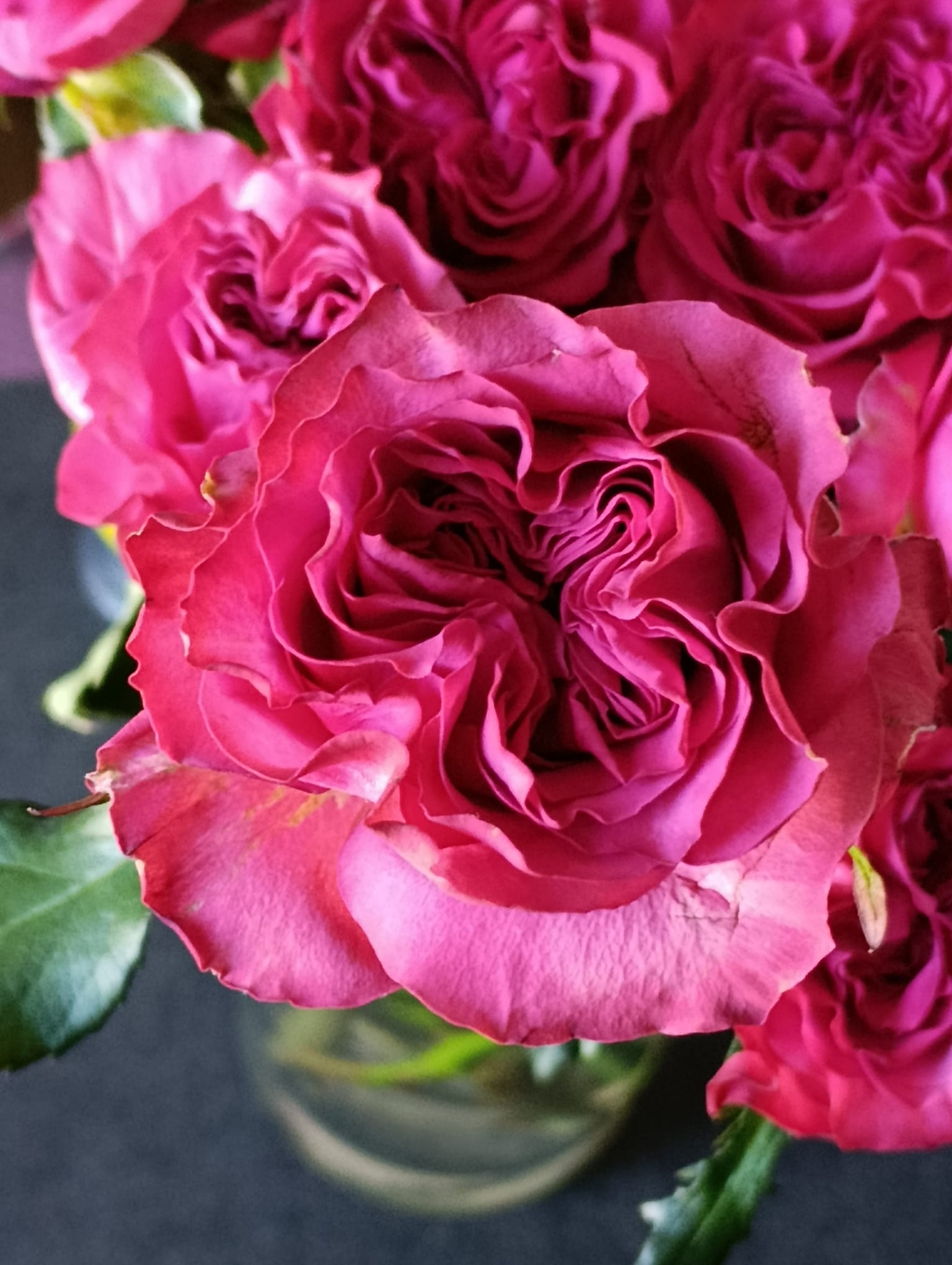La demande de fleurs fraîches à Kinshasa et en RDC : approvisionnement depuis le Kenya et l’Éthiopie