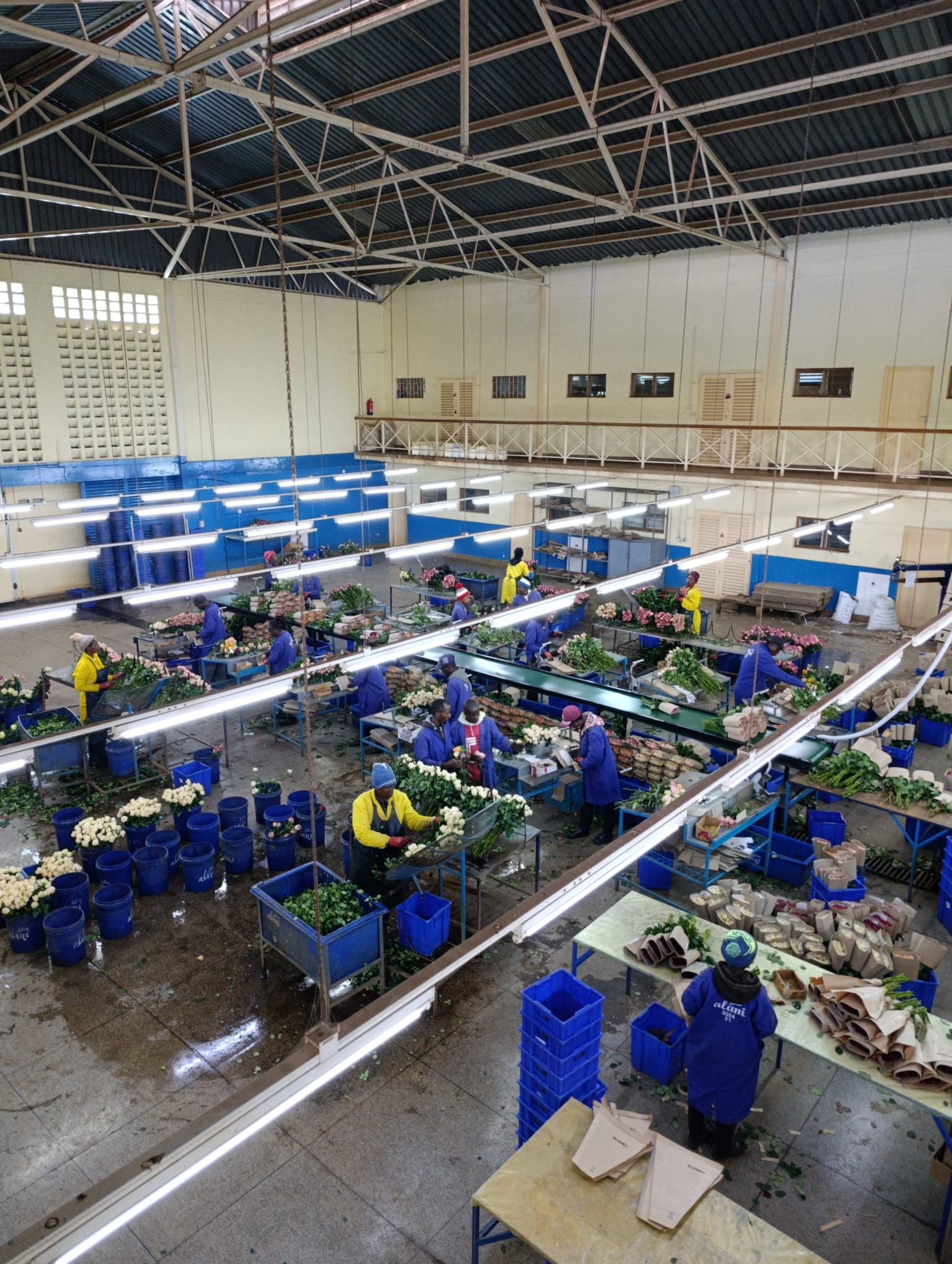 How Flower Logistics Impact Quality: What Wholesale Buyers Need to Know