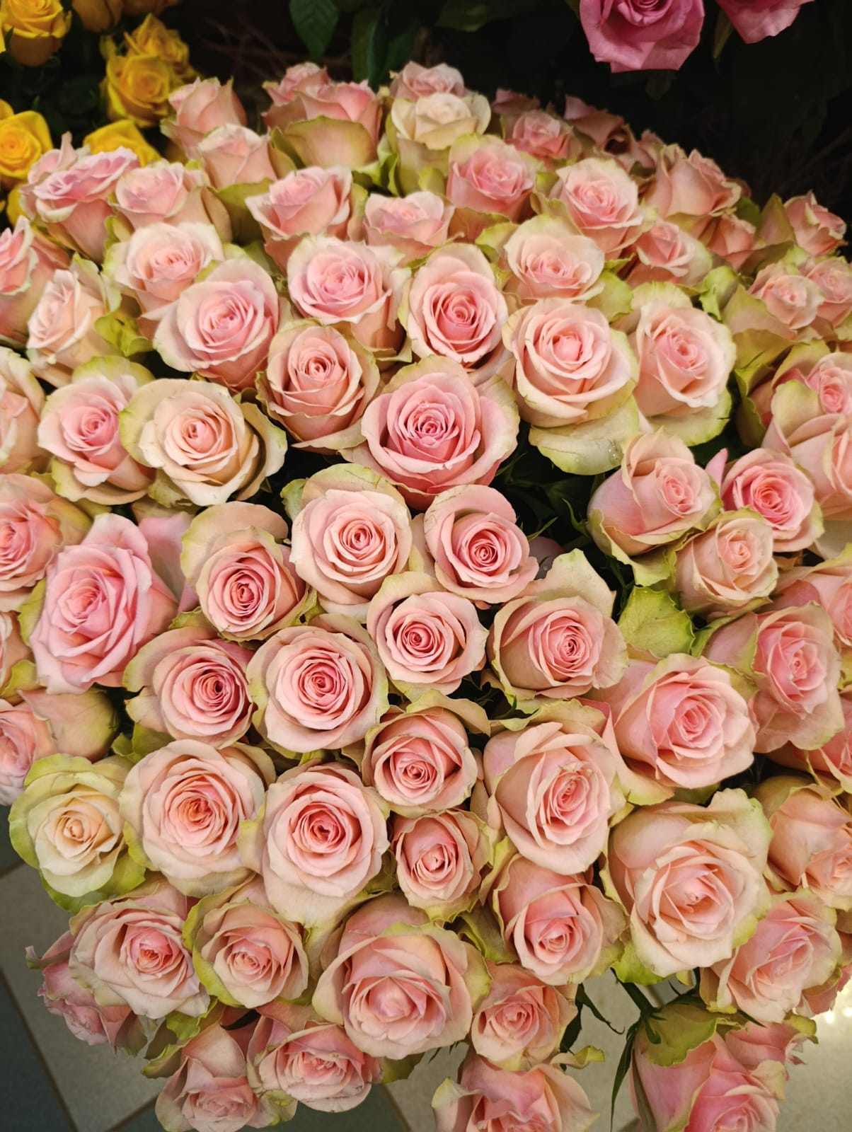 Exporter des fleurs fraîches vers le Cameroun depuis le Kenya et l’Éthiopie