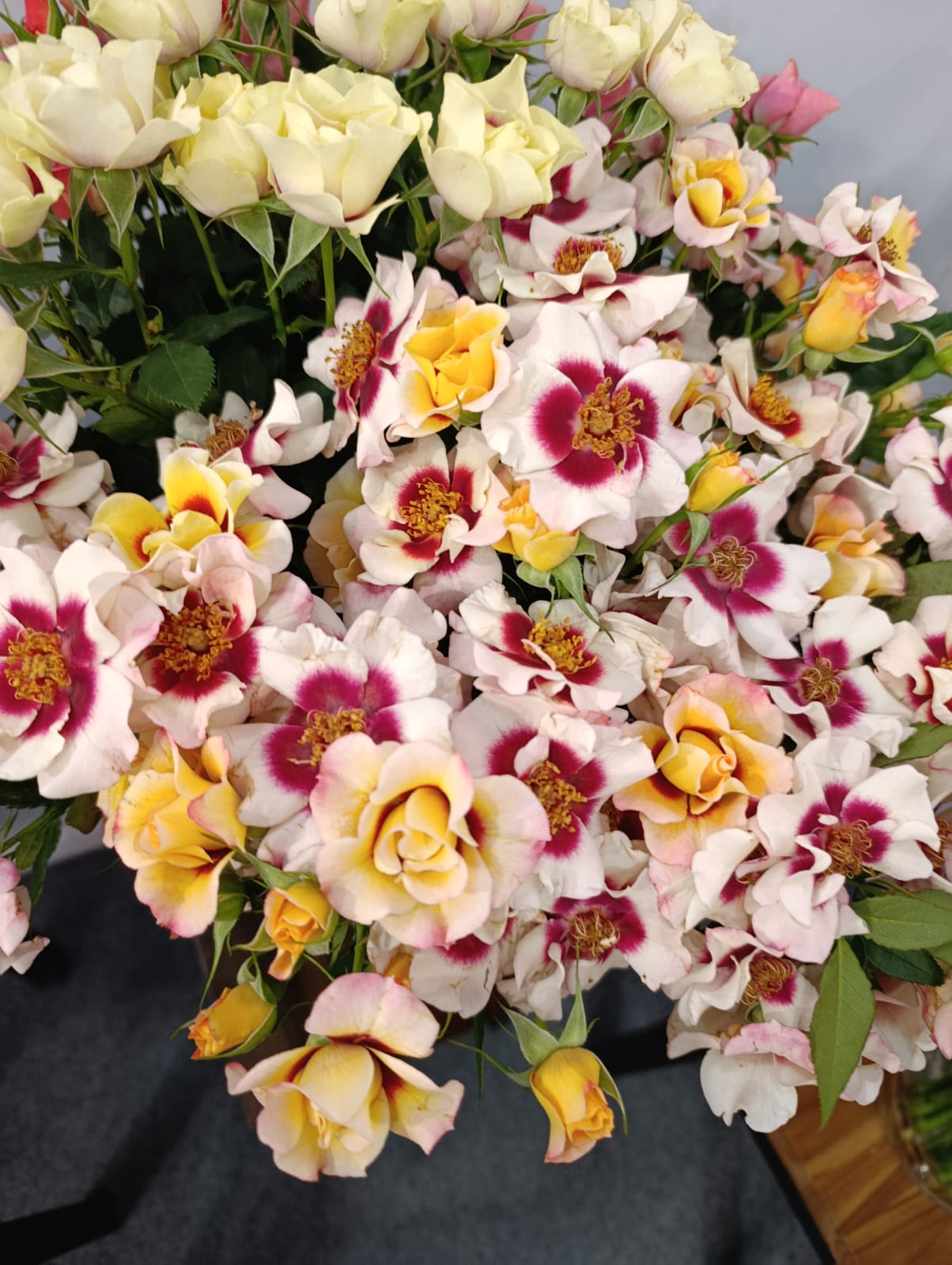 Importer des fleurs fraîches en Côte d’Ivoire depuis le Kenya et l’Éthiopie