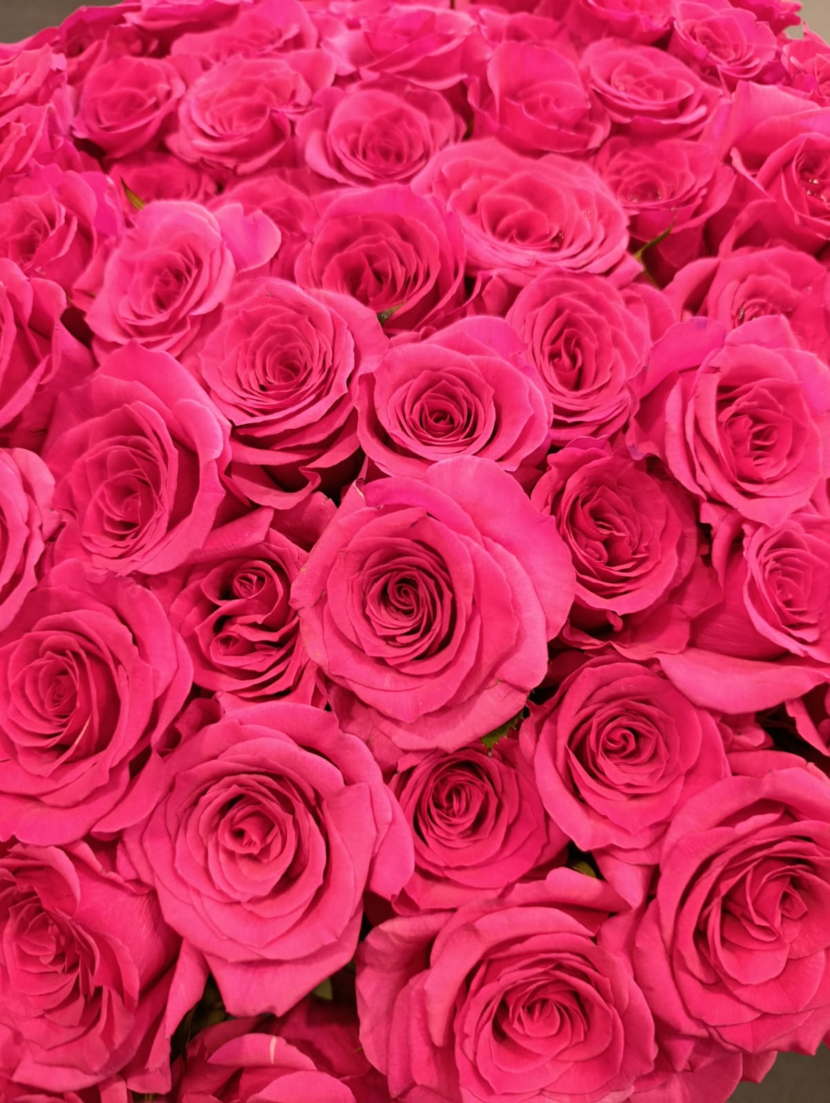 Importing Fresh Flowers into Botswana: Premium Flower Supply for Events, Hotels and Florists