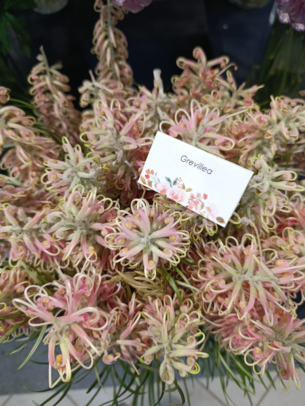 How to Import Fresh Flowers from Kenya and Ethiopia: MOQ, FOB, C&F, Mixed Boxes and Logistics