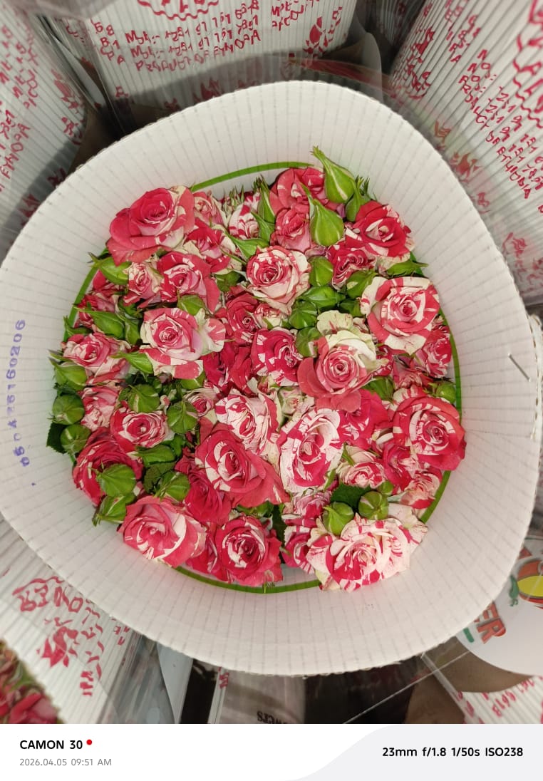 The South African Flower Market: How Imported Flowers from Ethiopia and Kenya can Support Florists, Event Planners and Wholesalers