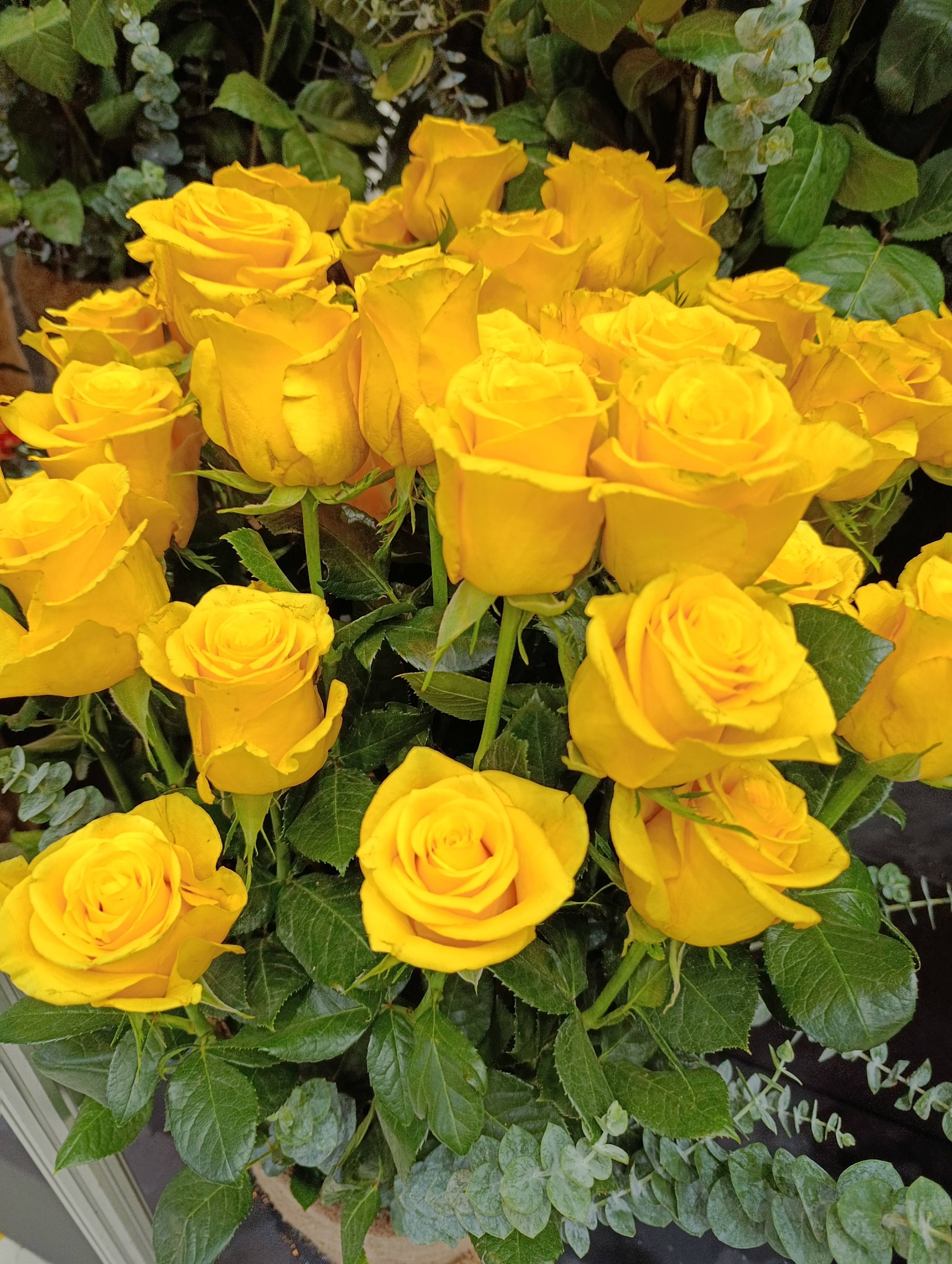 Why Demand for Imported Flowers Is Growing in East Africa