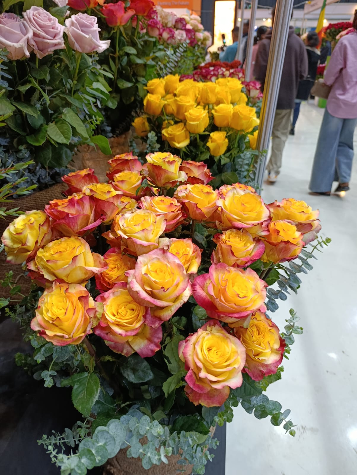 Fresh Flower Supply to Kuwait: Roses, Spray Roses and Summer Flowers from East Africa