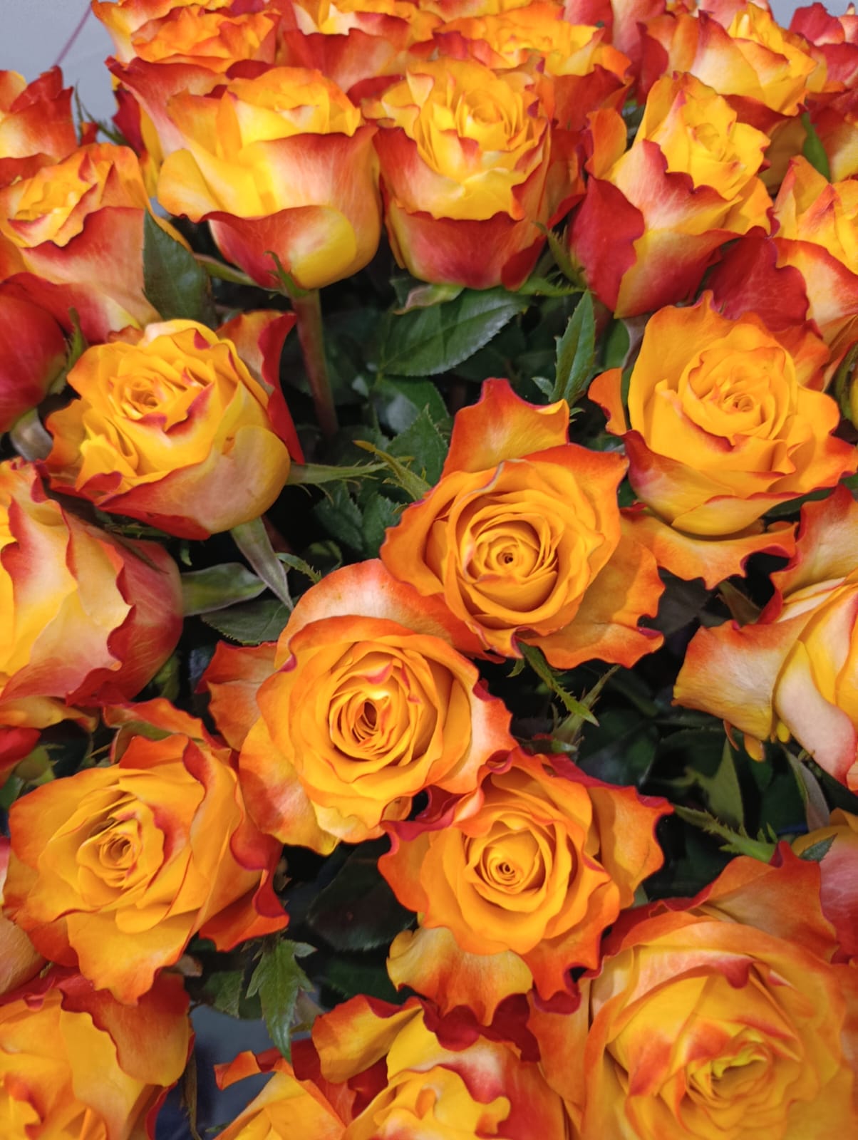 Comment calculer le coût réel d’une fleur importée du Kenya ou d’Éthiopie ?
