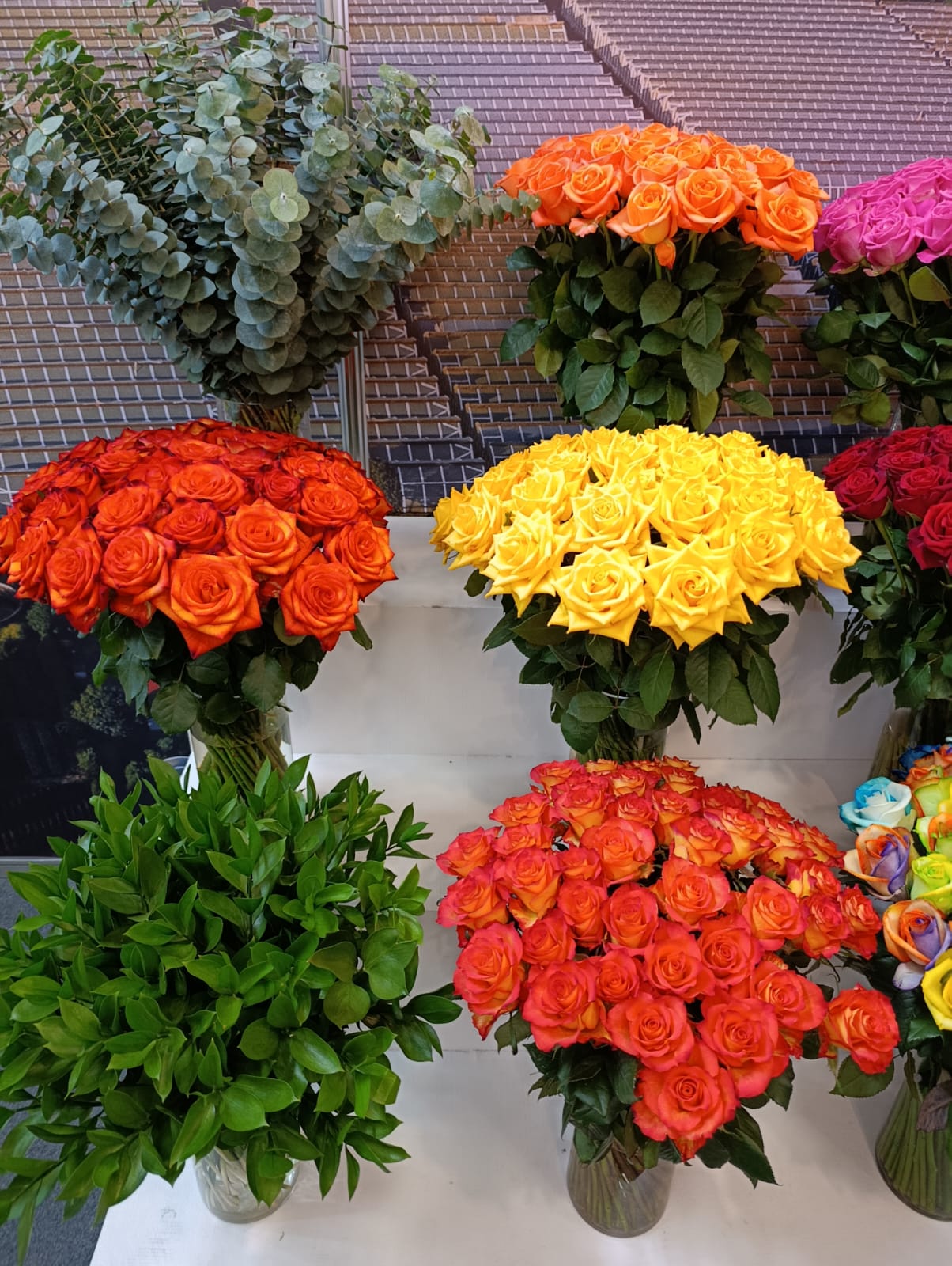 Como receber, hidratar e conservar flores importadas após o transporte aéreo