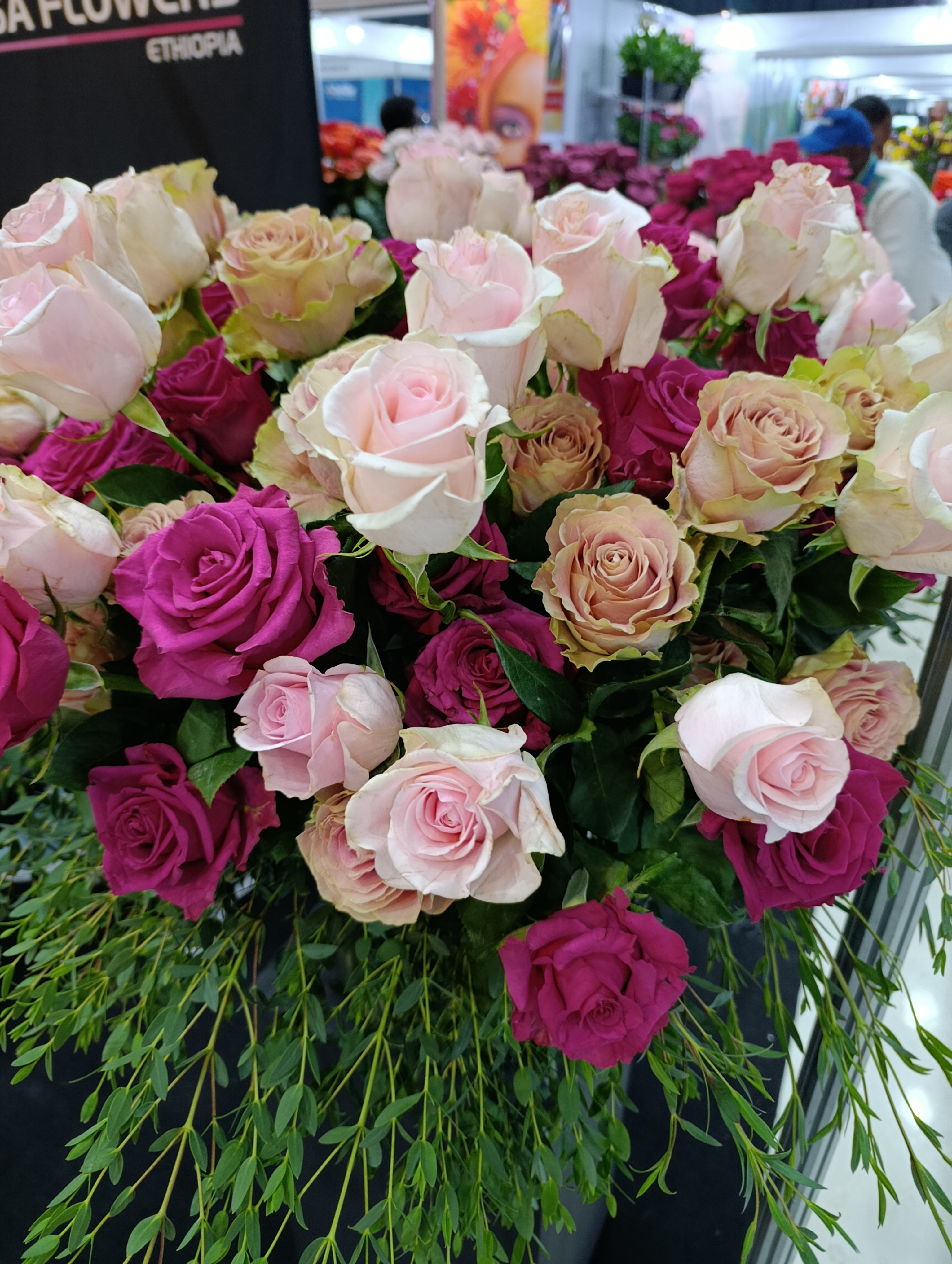 Kenya and Ethiopia: How Africa’s Flower Powerhouses Are Shaping Global Supply — and New Opportunities for Buyers