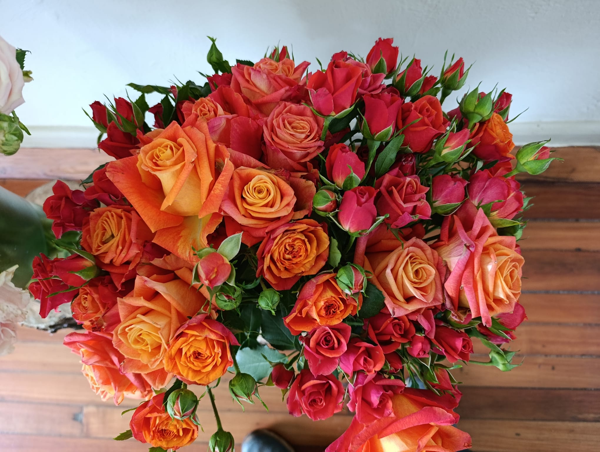 Rose Supplier Kenya: Finding the Right Rose Exporter for Your Business